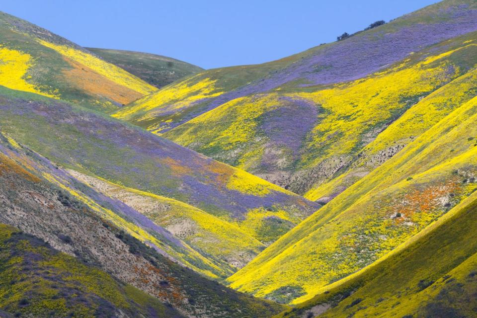 2) Carrizo Plain National Monument — California