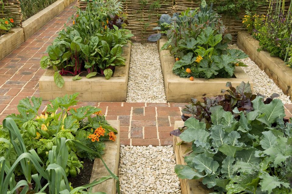 <p>Especially when you've got multiple garden beds, ensure your setup leaves enough space for walking. Use large stones and tiny pebbles to create separation between your beds.</p><p><a class="link " href="https://go.redirectingat.com?id=74968X1596630&url=https%3A%2F%2Fwww.homedepot.com%2Fb%2FOutdoors-Garden-Center-Landscaping-Supplies-Landscape-Rocks%2FN-5yc1vZbx5d&sref=https%3A%2F%2Fwww.goodhousekeeping.com%2Fhome%2Fdecorating-ideas%2Fg36099331%2Fraised-garden-bed-ideas%2F" rel="nofollow noopener" target="_blank" data-ylk="slk:Shop Now;elm:context_link;itc:0;sec:content-canvas">Shop Now</a></p>