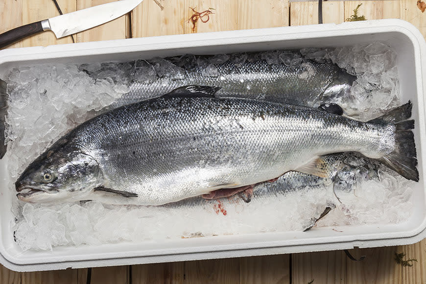 Where to store your seafood