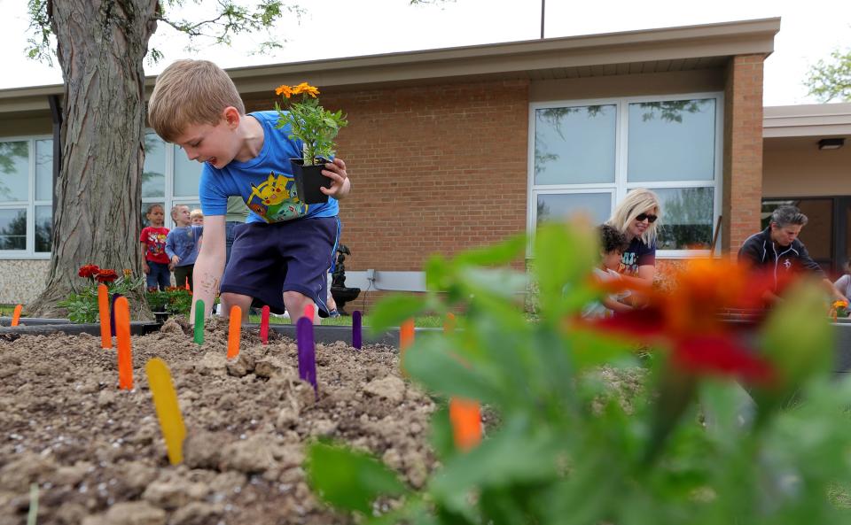 Benji Merrill, a kindergartner at McDowell Early Learning School, digs out a spot in one of the flower beds for zinnias in the Hudson school’s sensory garden on Tuesday.