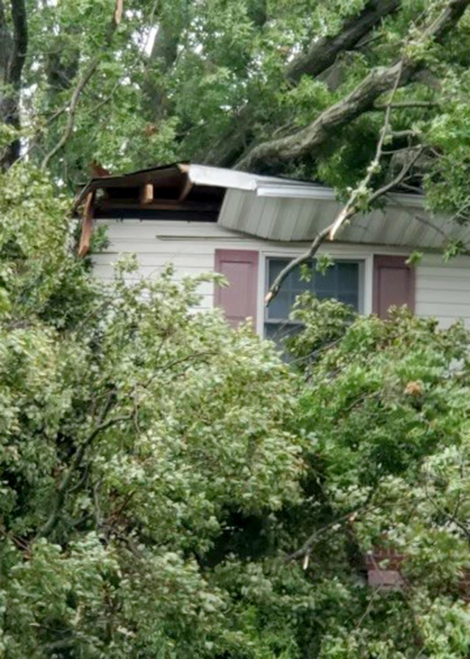 This Aug. 4, 2020, photo provided by James Burke shows damage to a Garden City, N.Y., home caused by an uprooted tree during Tropical Storm Isias. (James Burke via AP)