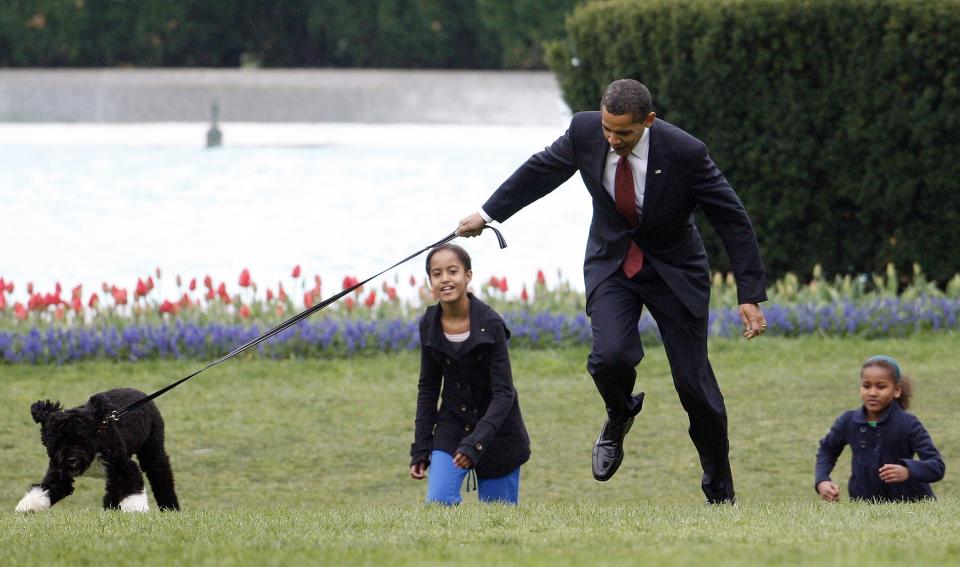 FILE - In this April 14, 2009, file photo President Barack Obama is almost jerked off his feet as he shows off their new dog Bo, a 6-month-old Portuguese water dog with his daughters Malia, left, and Sasha Obama, right, on the South Lawn of the White House in Washington. The arrival of the Biden pets will also mark the next chapter in a long history of pets residing at the White House after a four-year hiatus during the Trump administration. “Pets have always played an important role in the White House throughout the decades,” said Jennifer Pickens, an author who studies White House traditions. (AP Photo/Ron Edmonds, File)