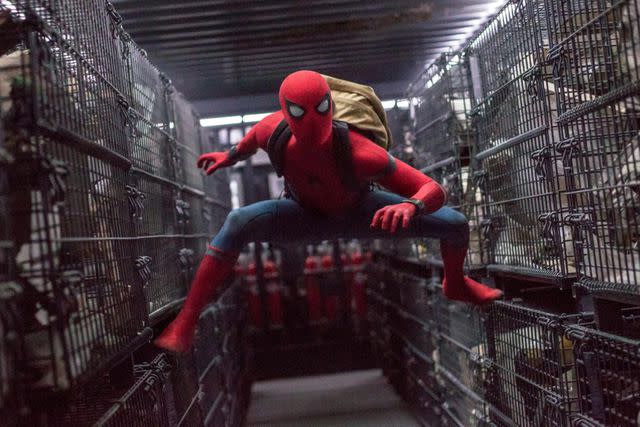 <p>Chuck Zlotnick/ Columbia Pictures /Courtesy Everett Collection</p> Tom Holland in 'Spider-Man: Homecoming'