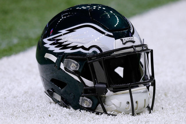 Puppy in Philadelphia Eagles Football Helmet