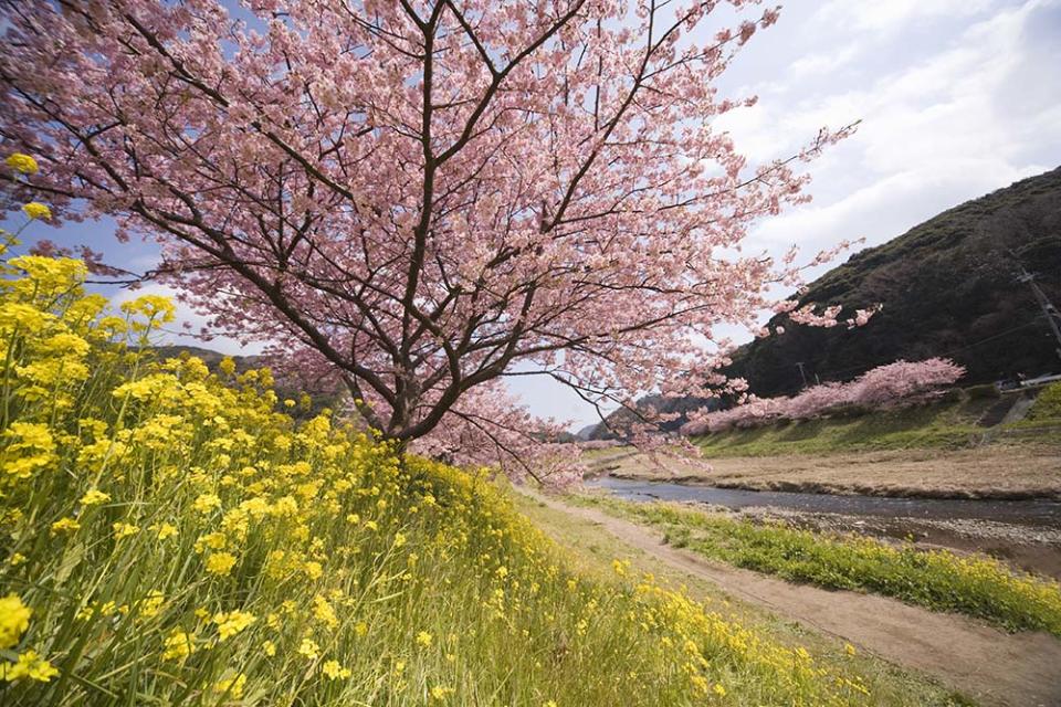 下賀茂溫泉（Image Source : Getty Creative/iStockphoto）