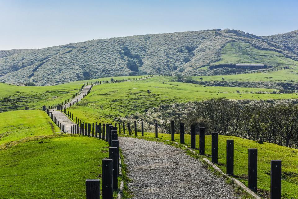 <p>Qingtiangang Grassland, Yangmingshan National Park. (Photo courtesy of Shutterstock)</p>
