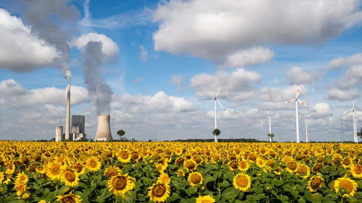 Bis spätestens 2038 will Deutschland den Kohleausstieg meistern. Doch um die Ziele des Pariser Klimaabkommens zu erreichen, ist das zu spät. Foto: dpa