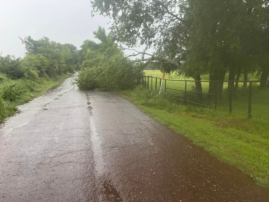 Tree fallen in roadway. Photo courtesy of Lilbert-Looneyville Volunteer Fire Department.