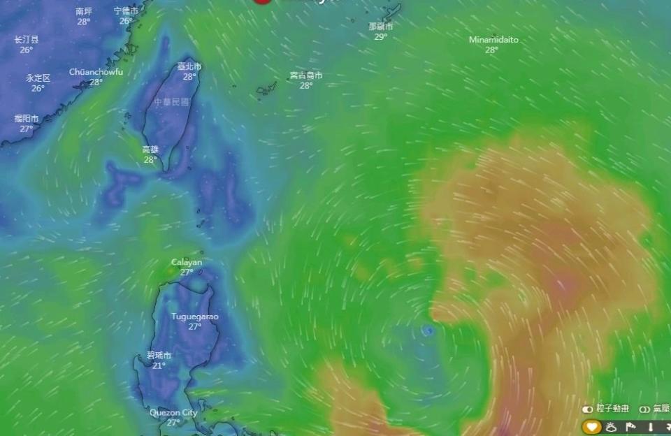 中央氣象局指出，第11號輕度颱風白鹿侵台機率高，需留意動態。 (圖:windy.com)