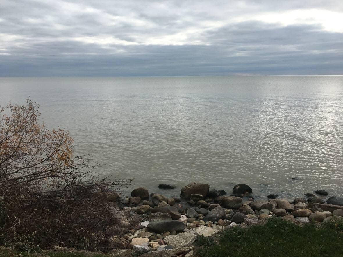 Saad Jasim, president of the International Ozone Association, says the impact of climate change on the Great Lakes is quite visible in the form of harmful algal blooms. (Dale Molnar/CBC - image credit)