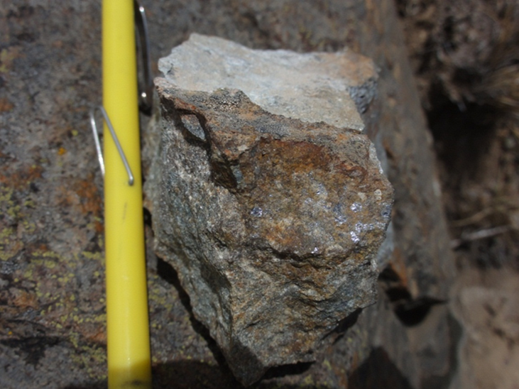 <i>Figure 4: A type B-vein with disseminated molybdenite crosscutting a dacite pyroclastic tuff at the Cerro Quillo Porphyry Au-Cu-Mo Prospect.</i>