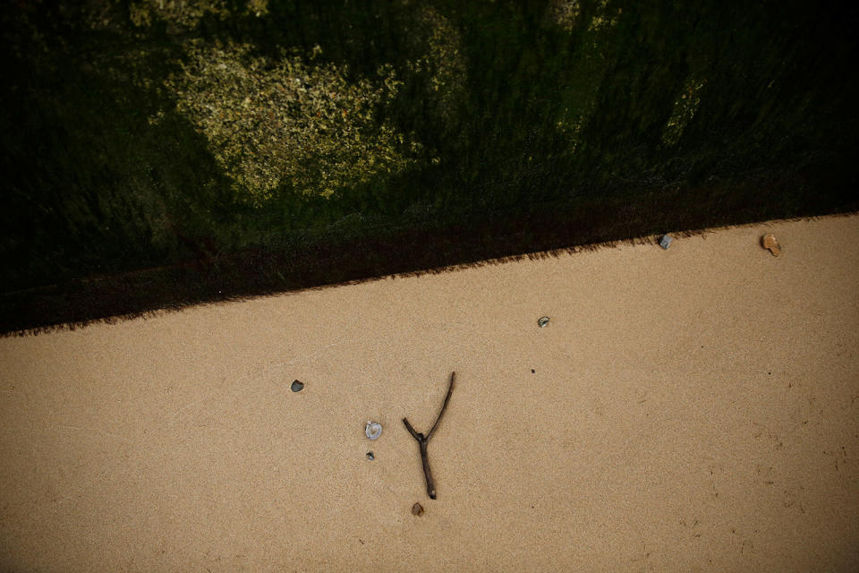 <p>A wooden stick is seen on the bank of the River Thames during low tide in London, Britain on Jan. 23, 2017. (Photo: Stefan Wermuth/Reuters) </p>