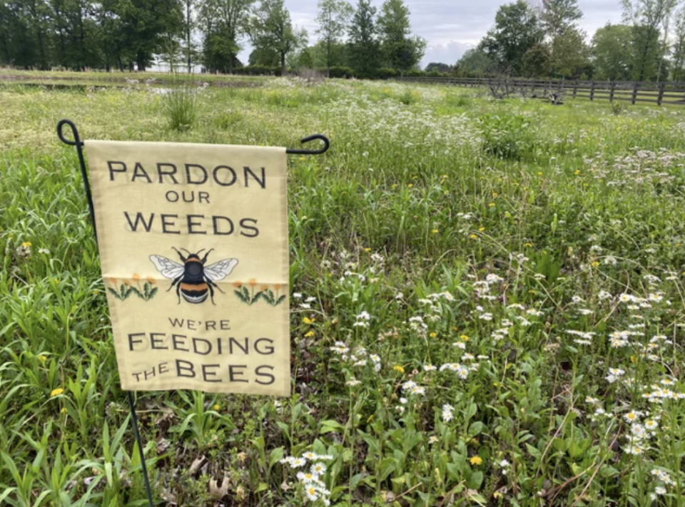 "Pardon our weeds, we're feeding the bees"