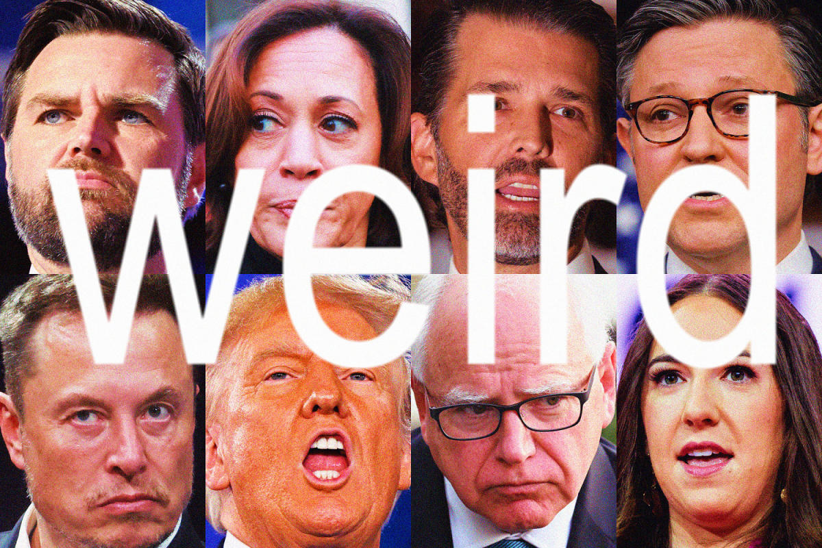 How ‘weird’ became the internet’s favorite political insult