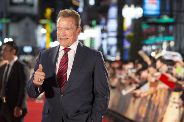 Arnold Schwarzenegger attends the Japan premiere of 'Terminator: Dark Fate' on November 06, 2019. (Photo by Yuichi Yamazaki/Getty Images)