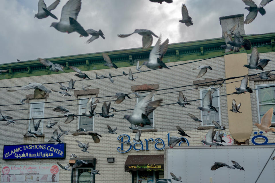 Pigeons fly in the main intersection of Little Palestine in Paterson, N.J. (Danielle Amy for NBC)