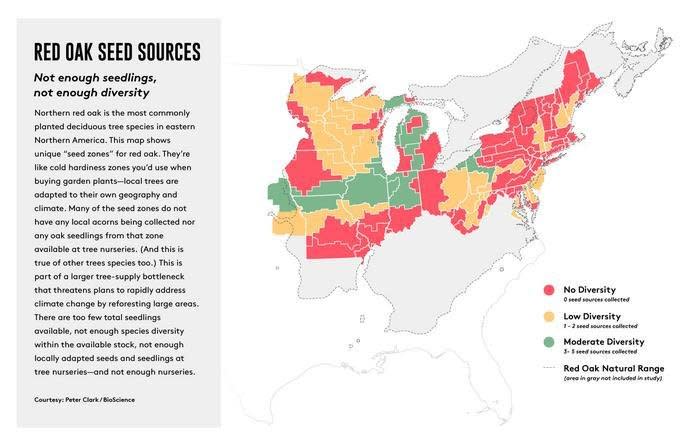 Map of Red Oak Seed sources shows the threat to tree-planting efforts to fight climate change, according to research published Monday in the journal Bioscience. U.S. tree nurseries do not grow close to enough trees and do not have the species diversity needed to meet "ambitious planting goals," researchers say. Image courtesy of journal Bioscience