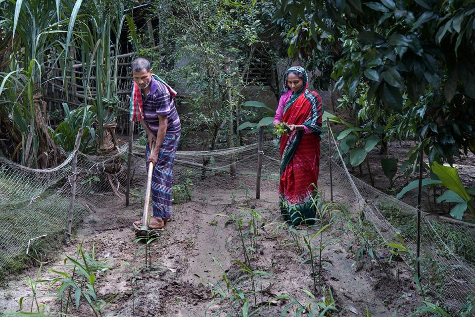 Gulshanara and Noab cultivate over 17 varieties of vegetables and spices throughout the year, while raising cattle, goats, poultry, fish and more (Fabeha Monir)