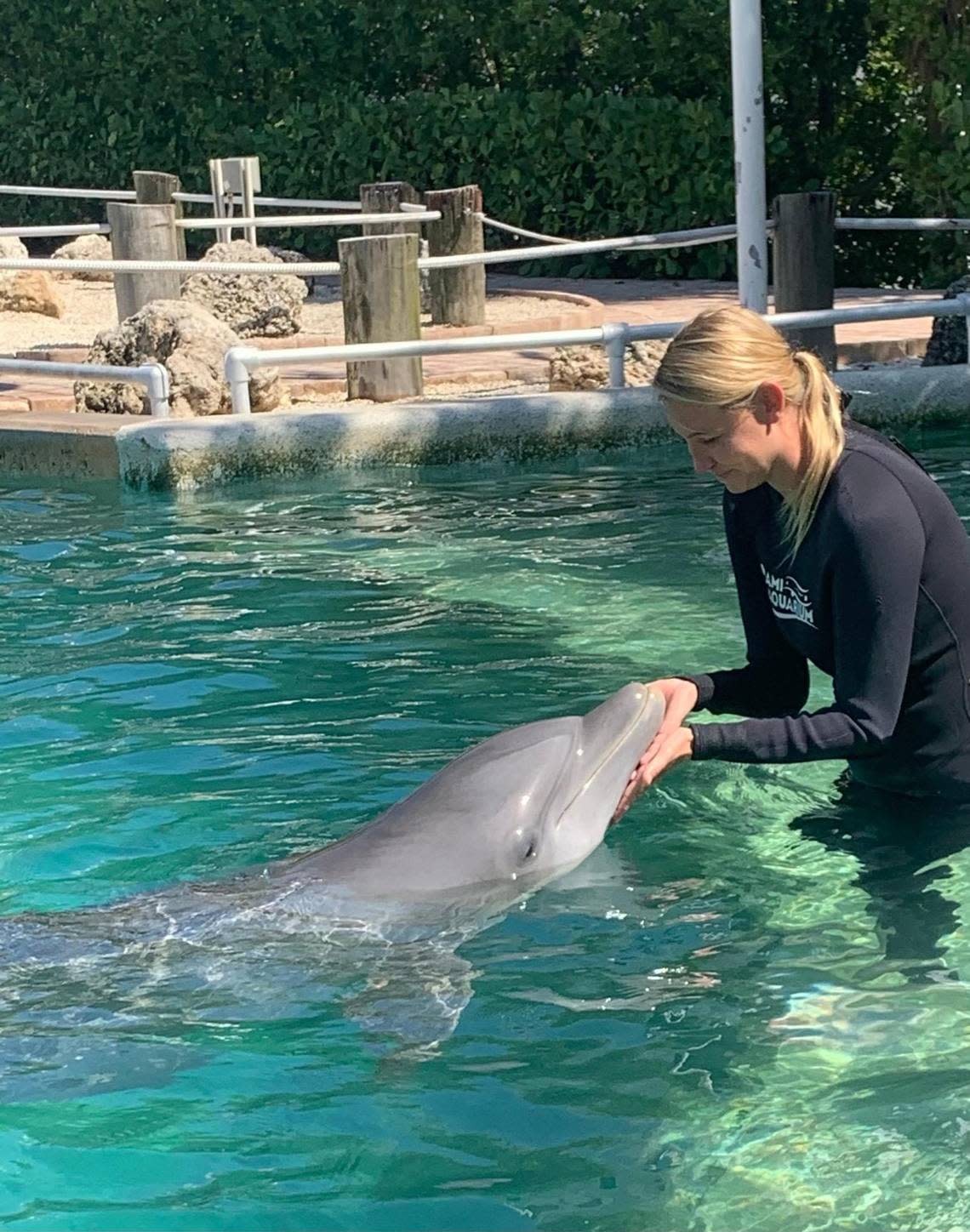 Former Seaquarium vet Dr. Jenna Wallace with one of the marine park’s bottlenose dolphins. Credit: Jenna Wallace