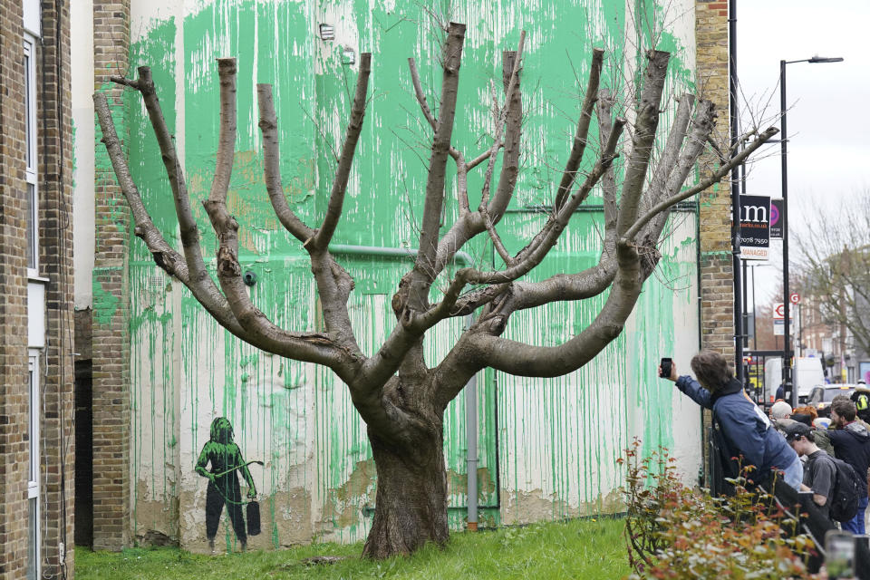 People view a tree mural which appeared overnight on a residential building in Finsbury Park, which has been confirmed to be by elusive graffiti artist, Banksy, in London, Monday, March 18, 2024. The artwork in the Finsbury Park neighborhood covers the wall of a three-story building and shows a small figure holding a pressure hose beside a real London plane tree. Green paint has been sprayed across the wall, replicating the absent leaves of the tree, which has been severely cropped. (Jonathan Brady/PA via AP)