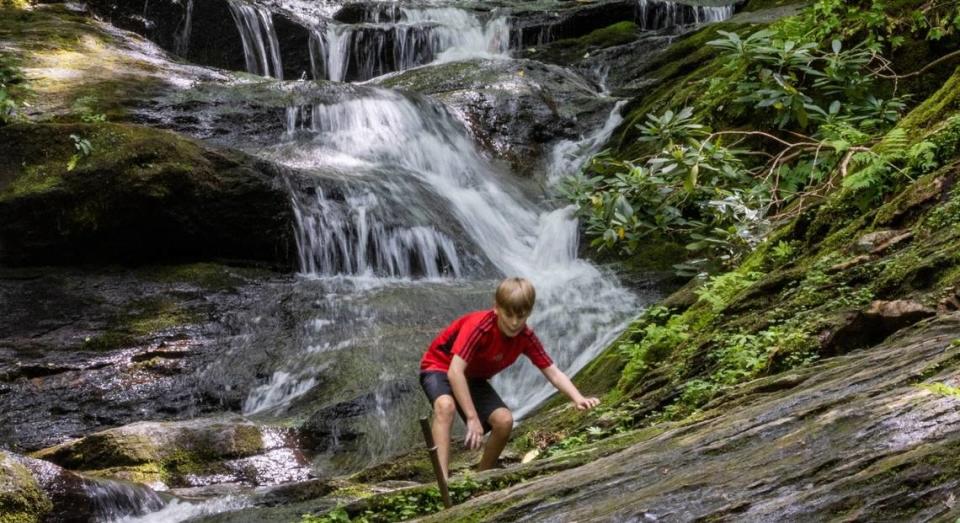 Roaring Fork Falls is a 50-foot high waterfall in the Pisgah National Forest. You’ll find it an easy three-quarter-mile hike from a small parking area off N.C. 80. Travis Long/tlong@newsobserver.com