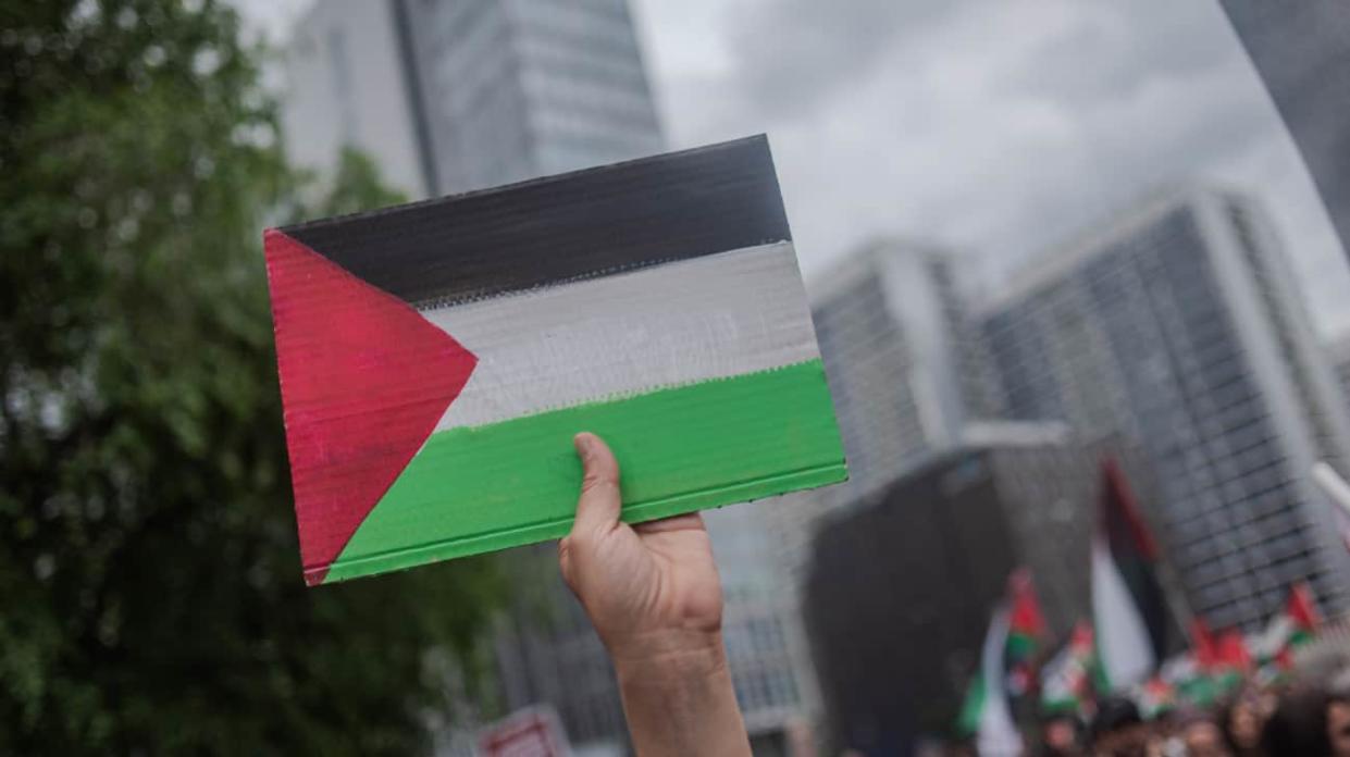 The flag of Palestine. Photo: Getty Images