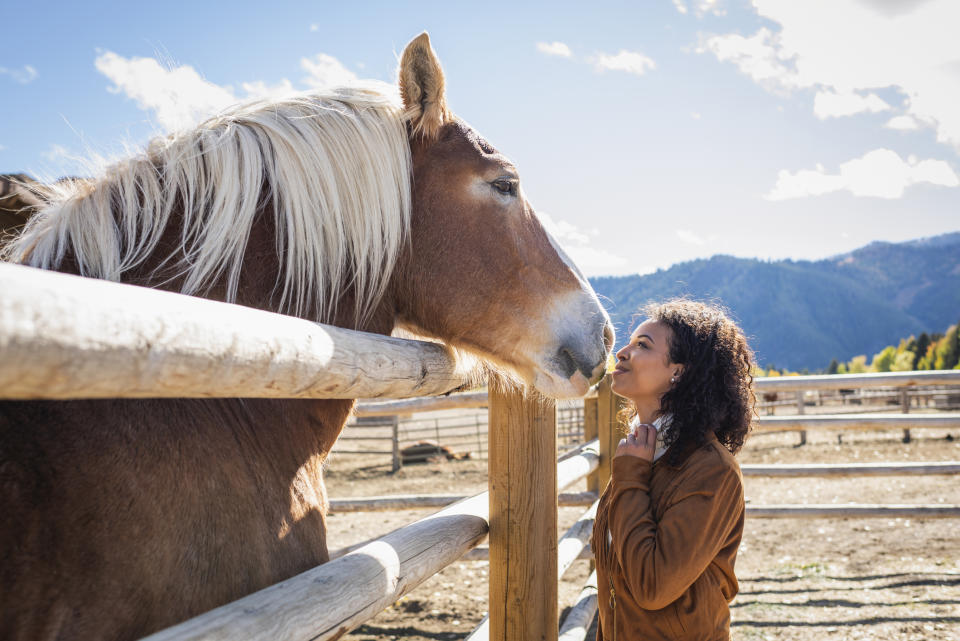 Sagittarius: Adopt a Horse