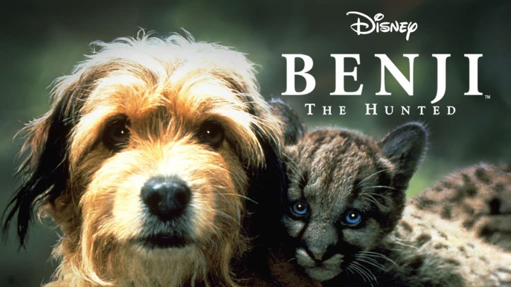 Benji the Hunted Where to Watch and Stream Online
