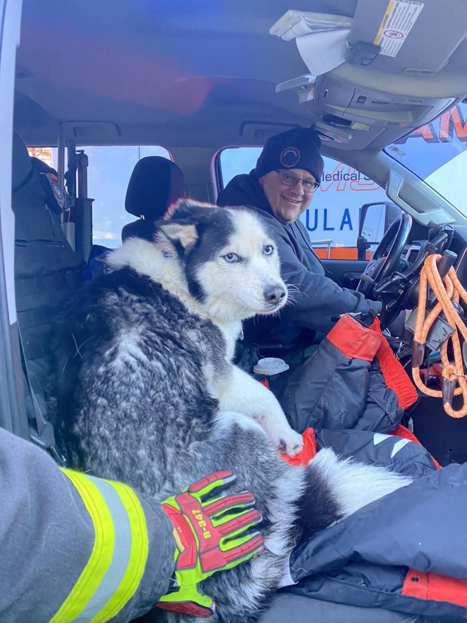 Authorities rescue dog that fell through ice in Wareham