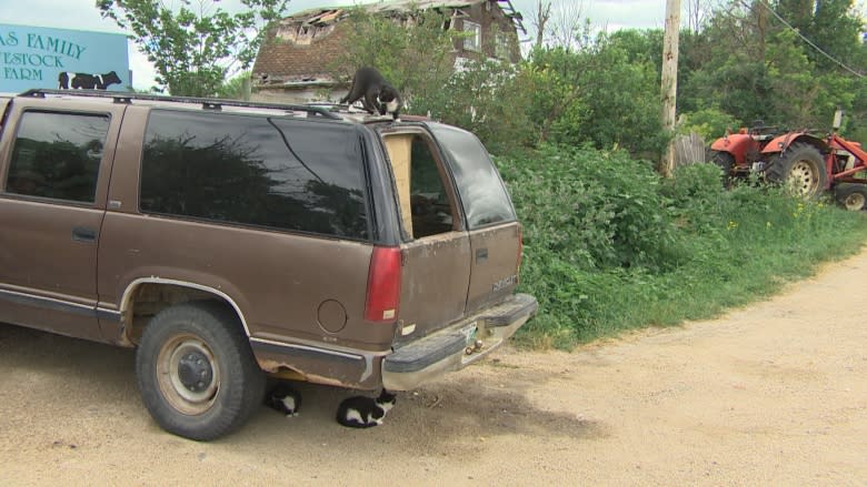 After years of complaints, neighbours vent frustration over ramshackle city farm