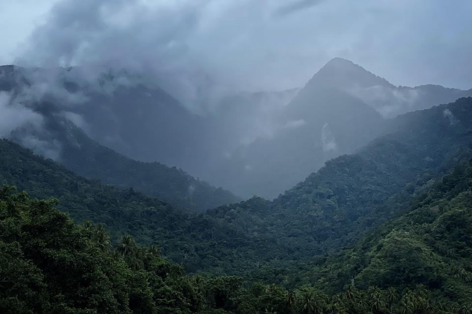 This undated handout from Expedition Cyclops released on Nov. 9 shows a view of the Cyclops mountains of Indonesia's Papua Province. An elusive echidna feared extinct after disappearing for six decades has been rediscovered in a remote part of Indonesia.