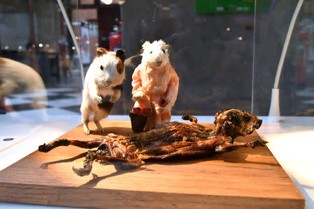 Guinea pigs, served as a traditional Peruvian Andes food, are displayed at the Disgusting Food Museum in Malmo, Sweden November 1, 2018. REUTERS/Mikael Nilsson