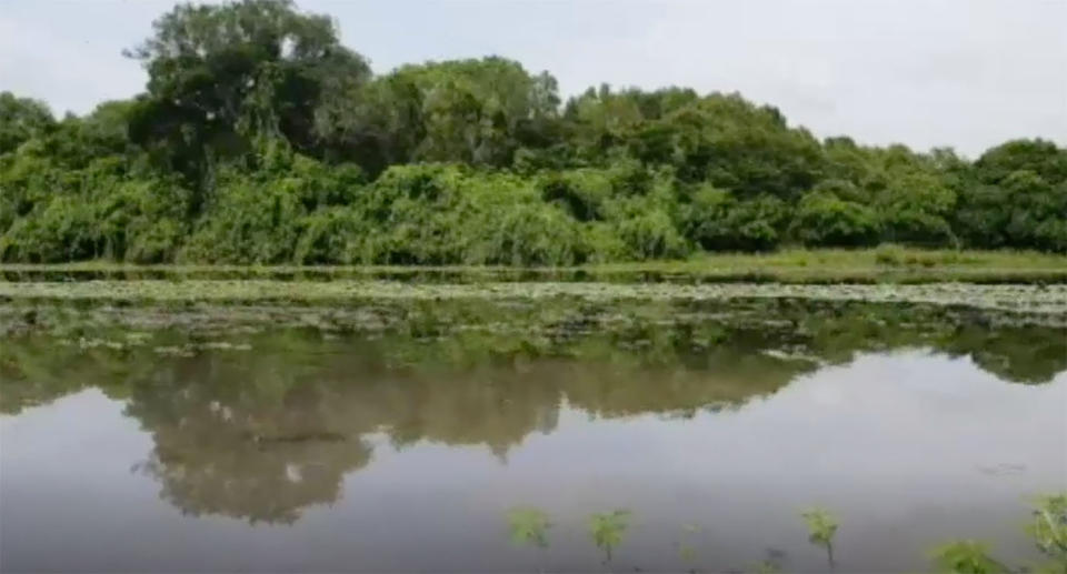 Darwin fisherman's catch stolen by 4m saltwater crocodile