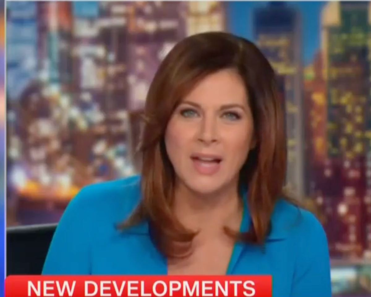 CNN Anchor Erin Burnett likened Donald Trump’s xenophobic comments about migrants to Hitler (CNN)