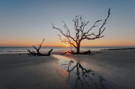 Jekyll Island – Driftwood Beach Sunset – Credit Explore Georgia