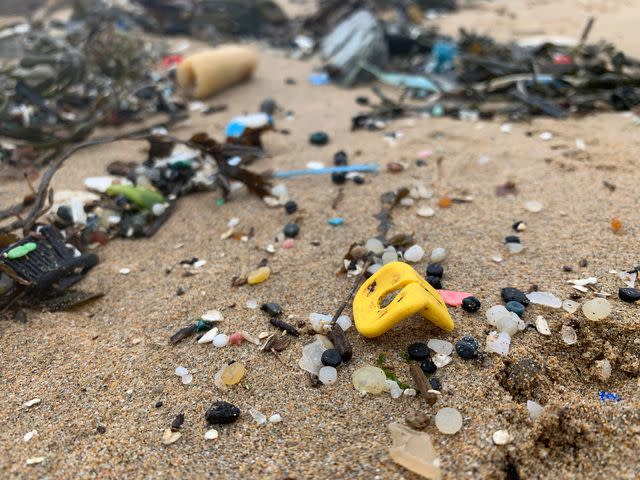 <p>Tracey Williams/Lego Lost At Sea</p> Lego pieces washing up on the beach