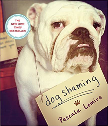 'Dog Shaming' Book