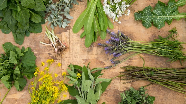 Various wild edible greens