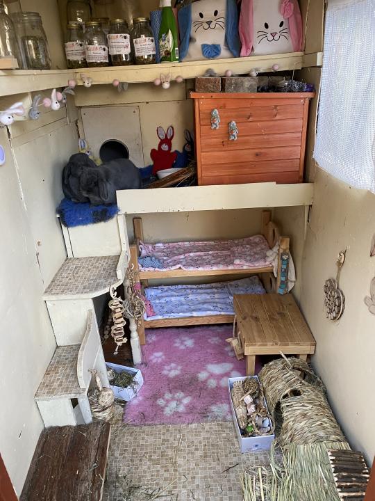 Pippin and Poppy’s shed with bunk beds (Collect/PA Real Life)