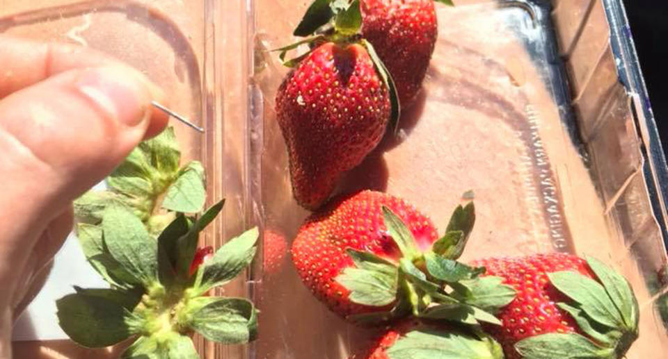 Sewing needles have been found in Berrylicious and Berry Obsession strawberries bought in Woolworths. Source: Facebook/ Joshua Gane