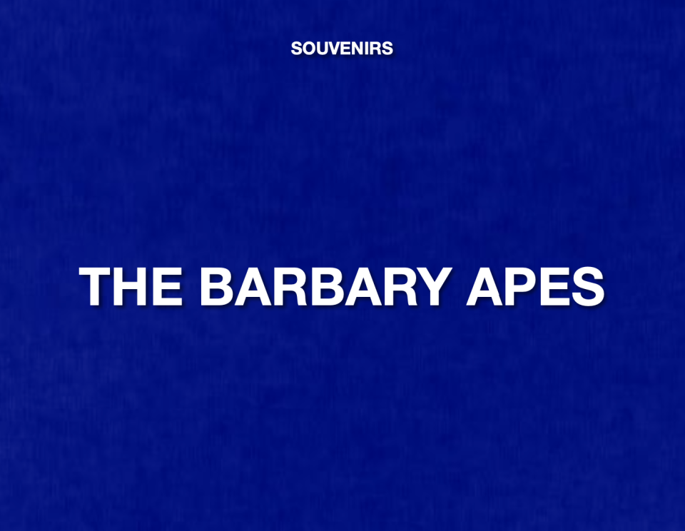 ANSWER: WHAT ARE THE BARBARY APES?
