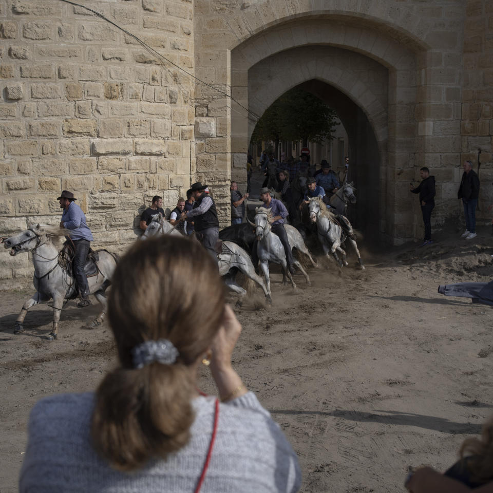 A spectator takes pictures as herders lead a bull into an arena bordering the medieval city walls of Aigues-Mortes during traditional festivities, Oct. 11, 2022. (AP Photo/Daniel Cole)