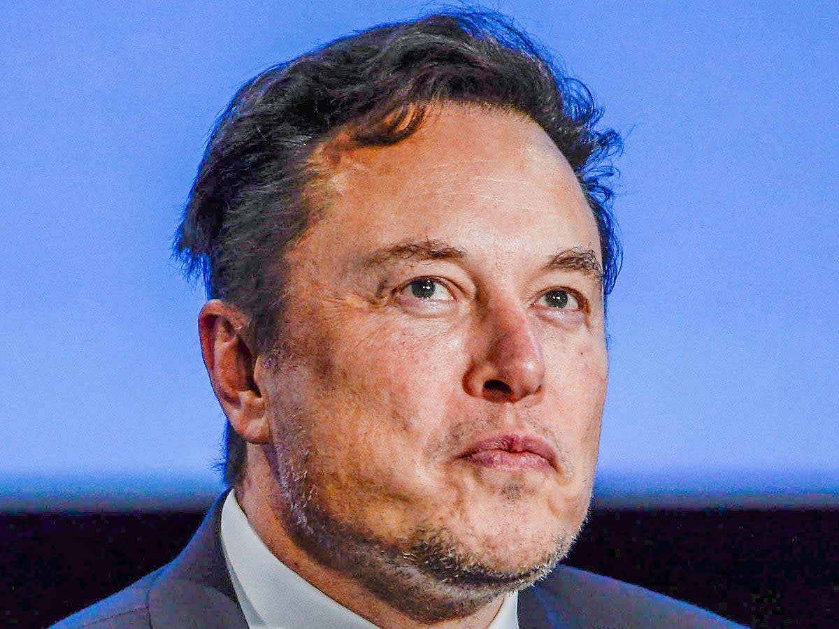 Elon Musk, pictured on 29 August 2022 in Stavanger, Norway, is the CEO of The Boring Company, Neuralink, SpaceX, Tesla and Twitter (Getty Images)