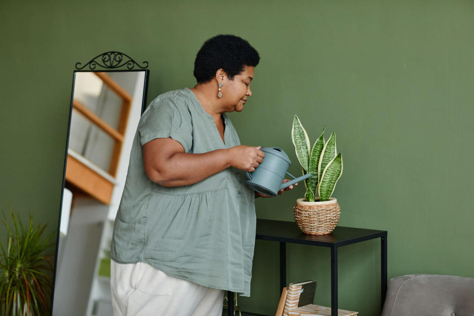 woman watering houseplants at home