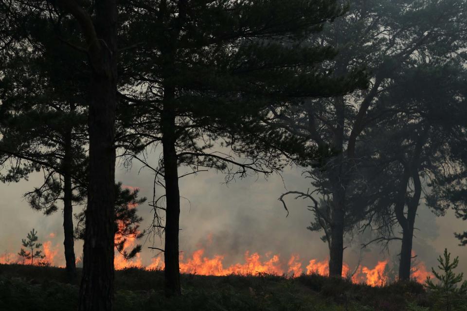 The fire rages on Friday (Getty Images)