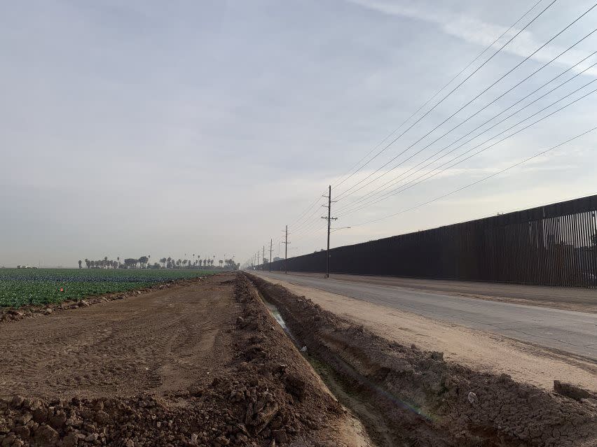 A vegetable field next to a tall border fence