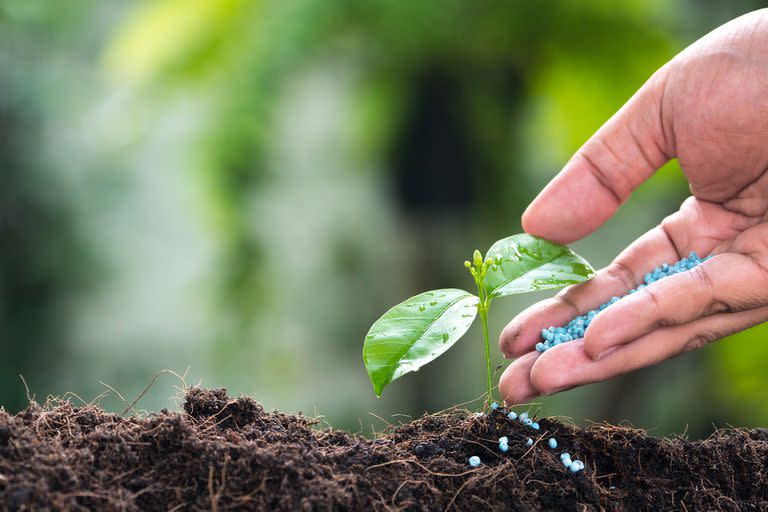 El descenso del valor de los fertilizantes mejora la ecuación del negocio agrícola