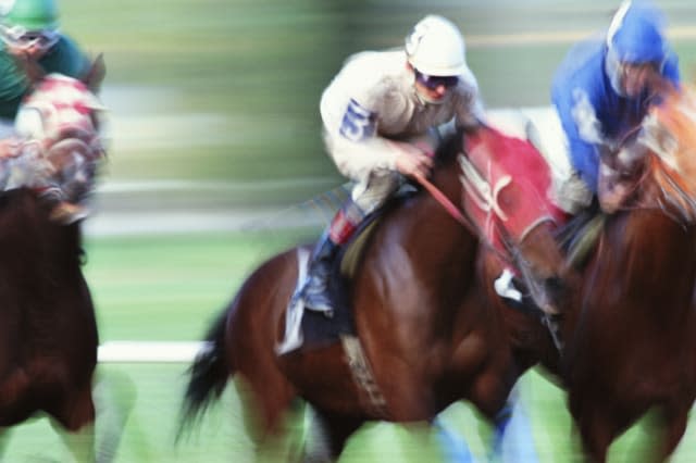 animalathletebettingblurbrowncentercolordaydeterminationexteriorhorizontalhorsehorse racingjockeymenmotionmovem