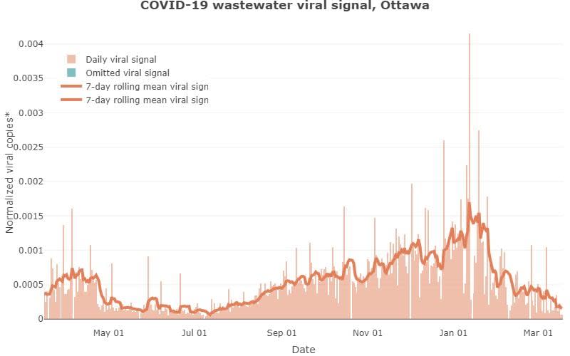 Researchers have measured and shared the amount of novel coronavirus in Ottawa's wastewater since June 2020. This is the data for the last year.