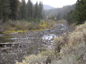 Water flows have slowed to a trickle on the Truckee River flowing out of Lake Tahoe from Tahoe City, Calif. a few miles upstream from Truckee, Calif. Wednesday, Oct. 20, 2021. Drought fueled by climate change has dropped Lake Tahoe below its natural rim and halted flows into the Truckee River, an historically cyclical event that's occurring sooner and more often than it used to _ raising fears about what might be in store for the famed alpine lake. (AP Photo/Scott Sonner).